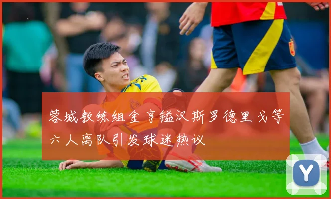 蓉城教练组金亨镒汉斯罗德里戈等六人离队引发球迷热议