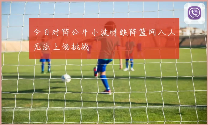 今日对阵公牛小波特缺阵篮网八人无法上场挑战